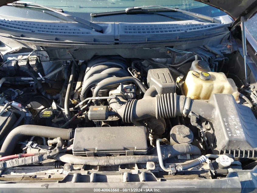 2010 Ford F-150 Xl/Xlt VIN: 1FTFW1E89AFB83295 Lot: 40063560