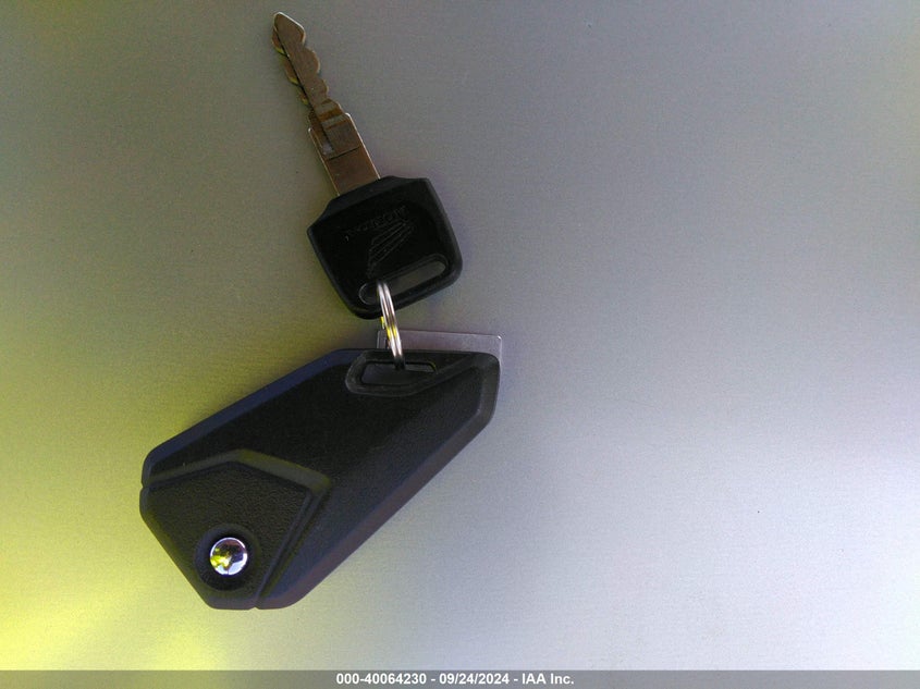 2020 HONDA GROM 125 - MLHJC751XL5202936