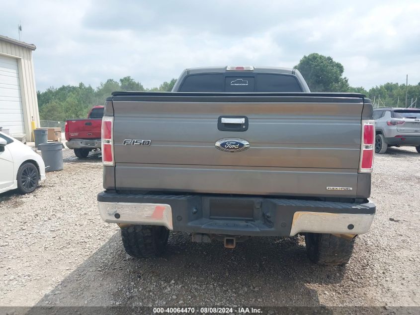 2013 FORD F-150 XLT - 1FTFW1CF4DKD88679