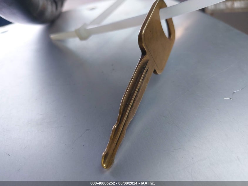 2003 Ford F-250 Lariat/Xl/Xlt VIN: 1FTNX20P93ED80263 Lot: 40065252