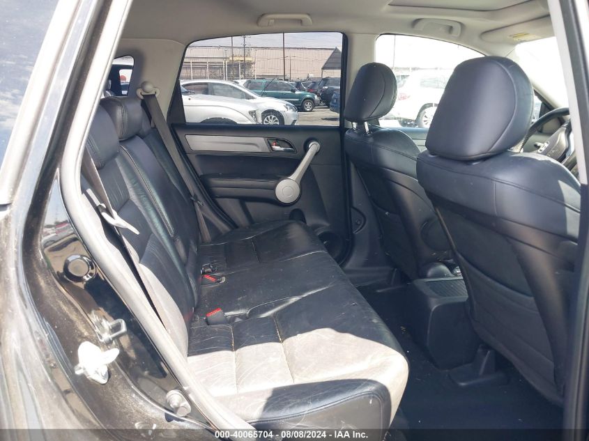 2007 Honda Cr-V Exl VIN: JHLRE387X7C023583 Lot: 40065704