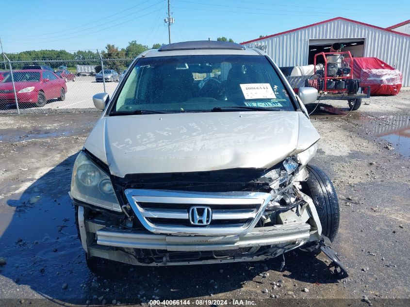 2005 Honda Odyssey Ex-L VIN: 5FNRL386X5B014442 Lot: 40066144