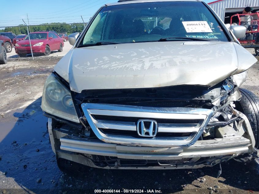 2005 Honda Odyssey Ex-L VIN: 5FNRL386X5B014442 Lot: 40066144