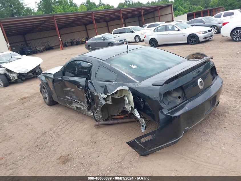 2006 Ford Mustang Gt VIN: 1ZVFT82H565139097 Lot: 40066637