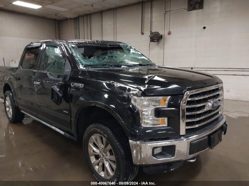 2016 FORD F-150 XLT - 1FTEW1EP7GFB06503