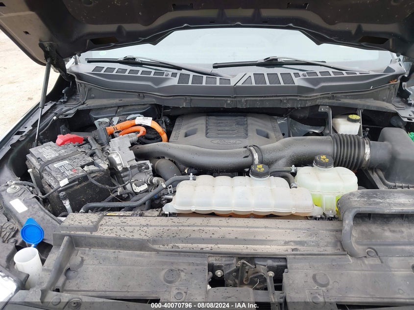 VIN 1FTFW1ED6MFC01611 2021 FORD F-150 XLT