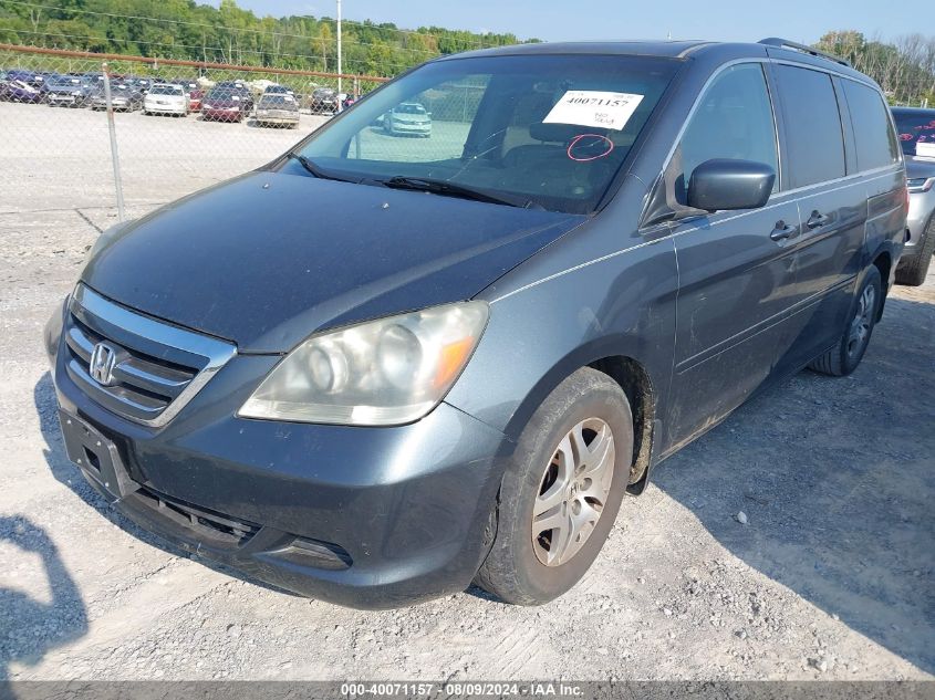 2006 Honda Odyssey Ex-L VIN: 5FNRL386X6B448121 Lot: 40071157