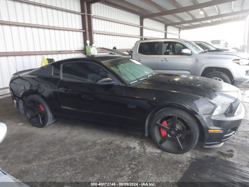 2014 Ford Mustang Gt Premium VIN: 1ZVBP8CF6E5303309 Lot: 40072745