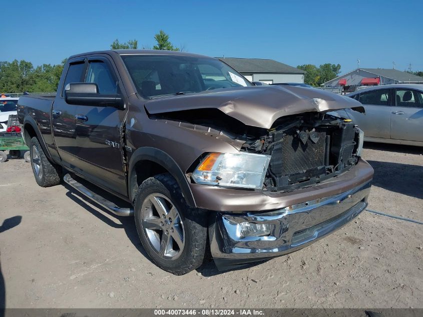 2010 Dodge Ram 1500 Slt/Sport/Trx VIN: 1D7RV1GT0AS153004 Lot: 40073446