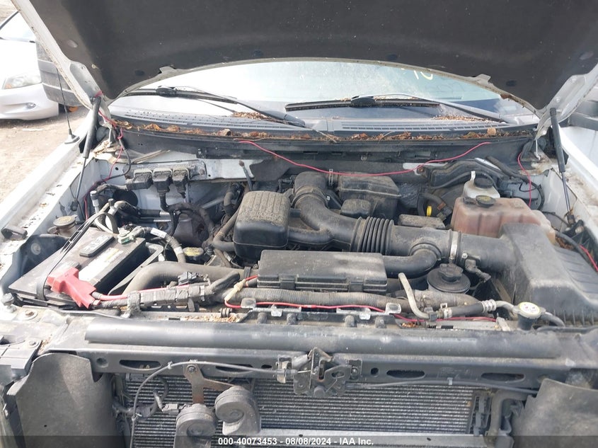 2010 Ford F-150 Fx4/Harley-Davidson/King Ranch/Lariat/Platinum/Xl/Xlt VIN: 1FTFW1EV8AFB71984 Lot: 40073453