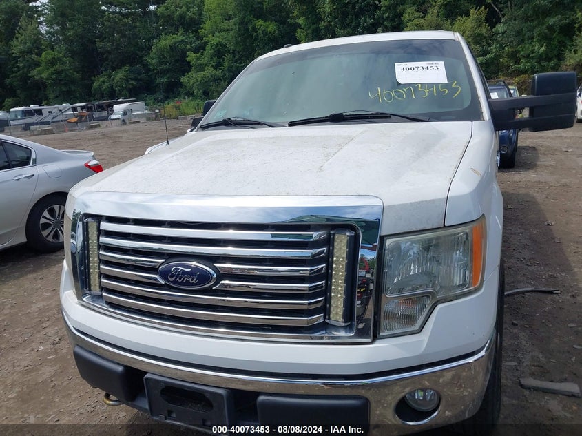 2010 Ford F-150 Fx4/Harley-Davidson/King Ranch/Lariat/Platinum/Xl/Xlt VIN: 1FTFW1EV8AFB71984 Lot: 40073453