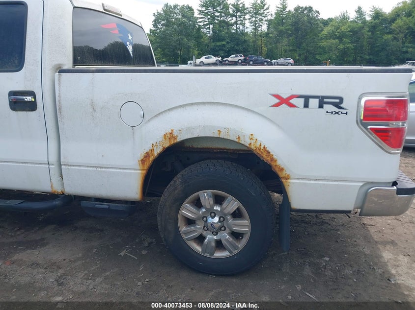 2010 Ford F-150 Fx4/Harley-Davidson/King Ranch/Lariat/Platinum/Xl/Xlt VIN: 1FTFW1EV8AFB71984 Lot: 40073453