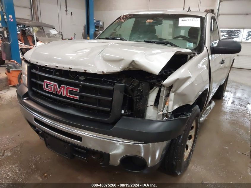 2009 GMC Sierra 1500 Work Truck VIN: 1GTEK14X29Z117245 Lot: 40075260