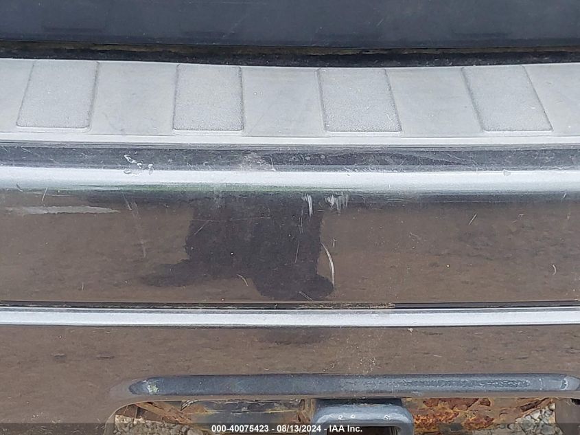 2006 Chevrolet Trailblazer Ls/Lt VIN: 1GNDT13S662102077 Lot: 40075423