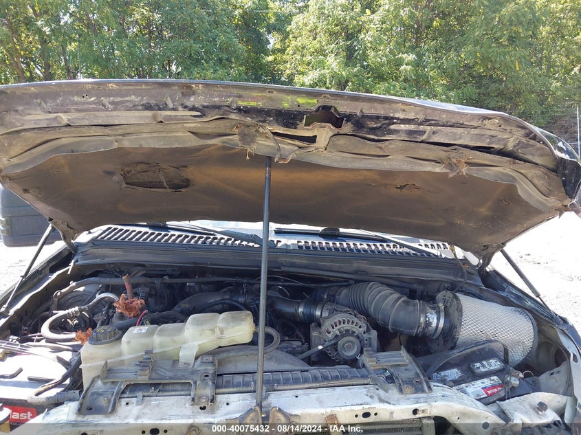 1999 Ford F-250 Lariat/Xl/Xlt VIN: 1FTNW21F3XEA07590 Lot: 40075432