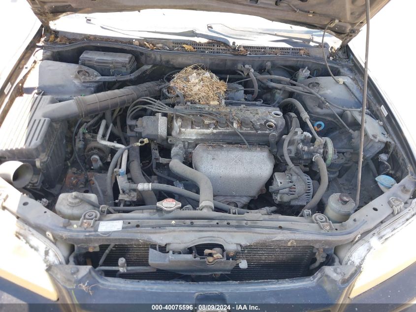 2000 Honda Accord Lx VIN: JHMCG6555YC023606 Lot: 40075596