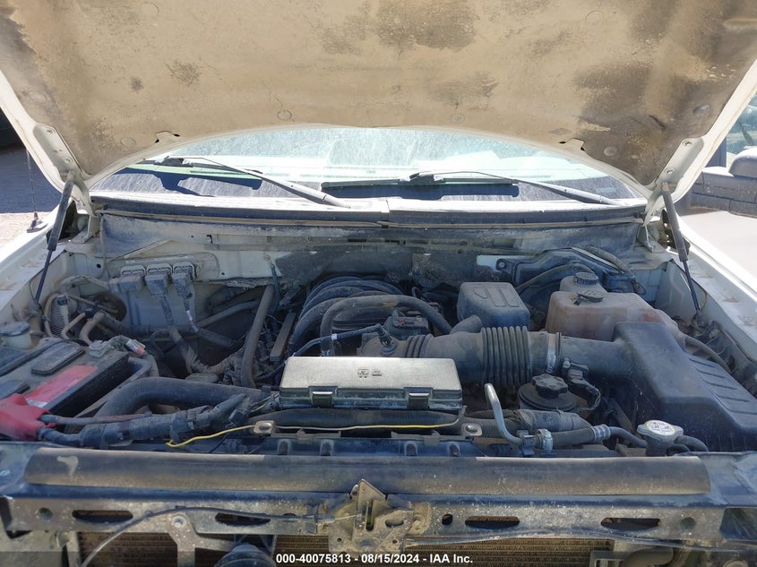 2010 Ford F-150 Xl/Xlt VIN: 1FTEW1E80AFA06050 Lot: 40075813