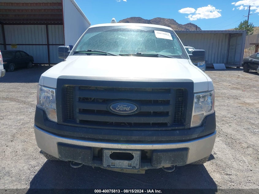 2010 Ford F-150 Xl/Xlt VIN: 1FTEW1E80AFA06050 Lot: 40075813