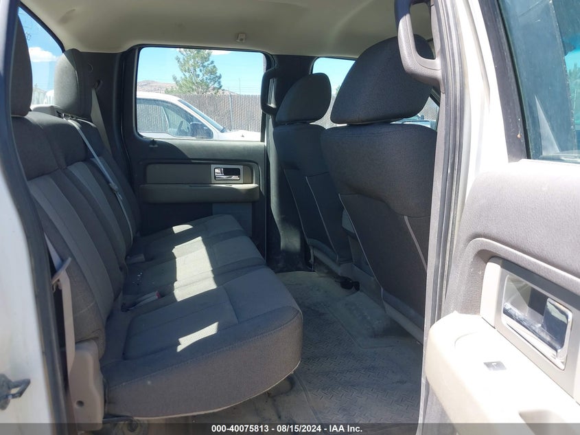 2010 Ford F-150 Xl/Xlt VIN: 1FTEW1E80AFA06050 Lot: 40075813