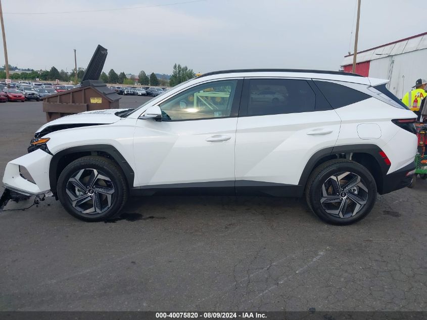 2024 Hyundai Tucson Hybrid Limited VIN: KM8JECD16RU234560 Lot: 40075820