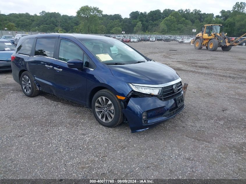 5FNRL6H63RB056717 2024 HONDA ODYSSEY - Image 1