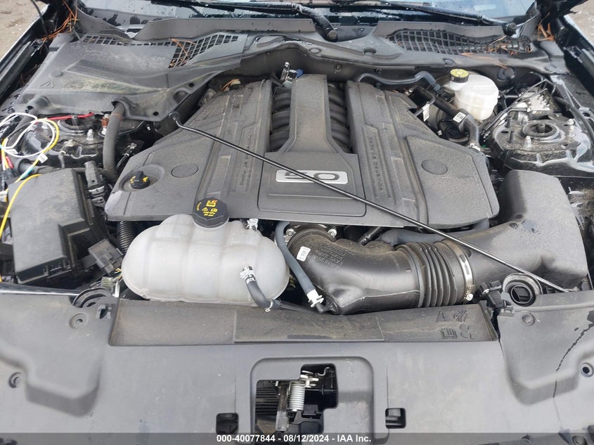 VIN 1FA6P8CF4P5304746 2023 FORD MUSTANG GT