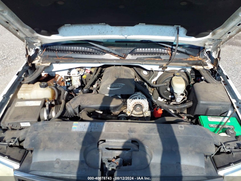 2006 Chevrolet Silverado 1500 C1500 VIN: 2GCEC13T861215146 Lot: 40078743