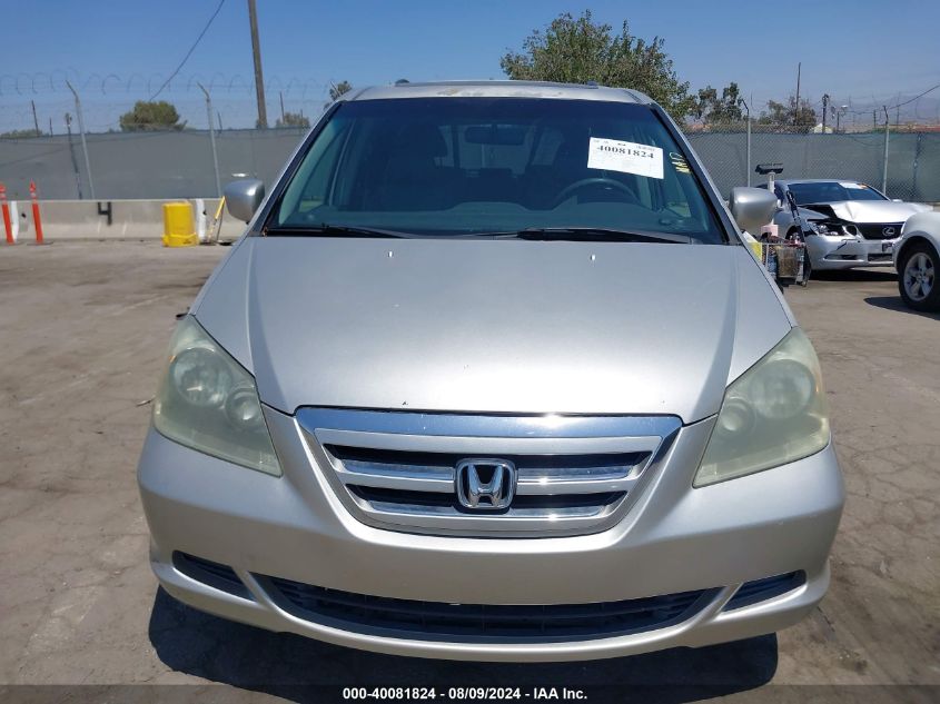 2005 Honda Odyssey Ex-L VIN: 5FNRL38695B416940 Lot: 40081824