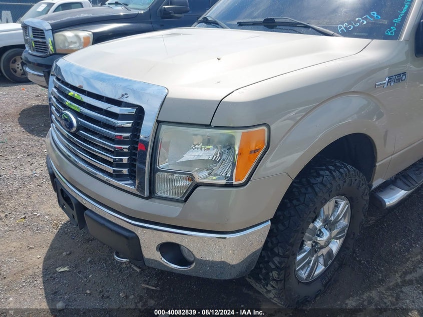 2010 Ford F-150 Xlt VIN: 1FTEW1E88AFA36378 Lot: 40082839