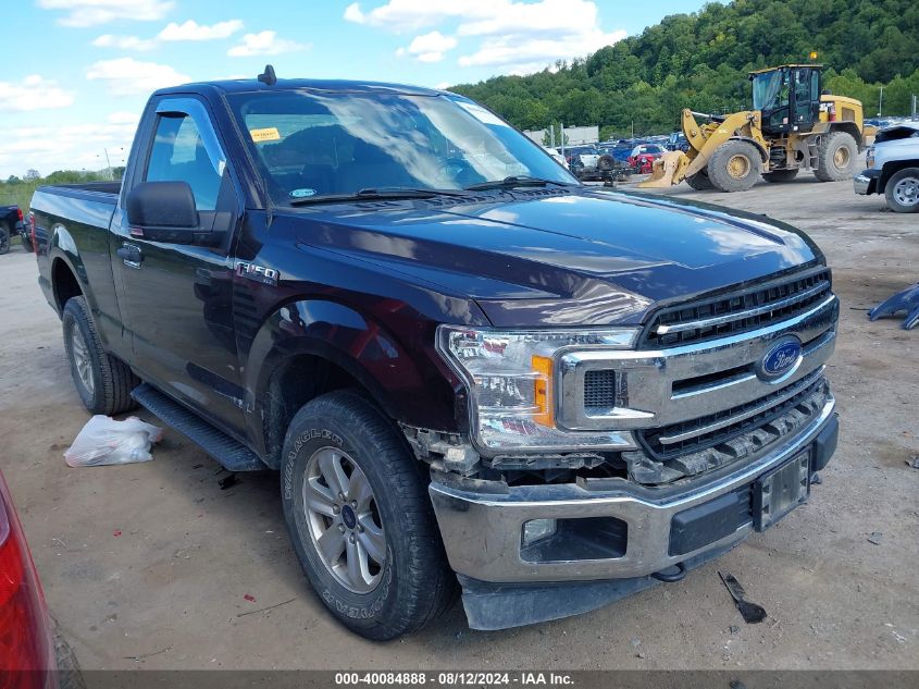 2019 FORD F-150 XLT - 1FTMF1EB1KKD32522