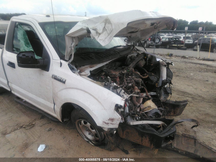 VIN 1FTMF1CB5KKD79393 2019 FORD F-150 XL