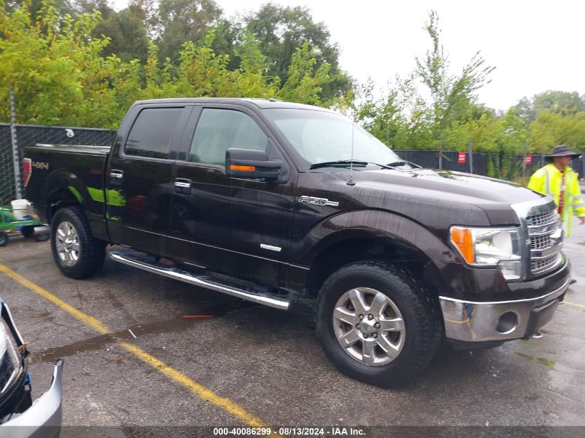 2013 Ford F-150 Xlt VIN: 1FTFW1ET8DKF24315 Lot: 40086299