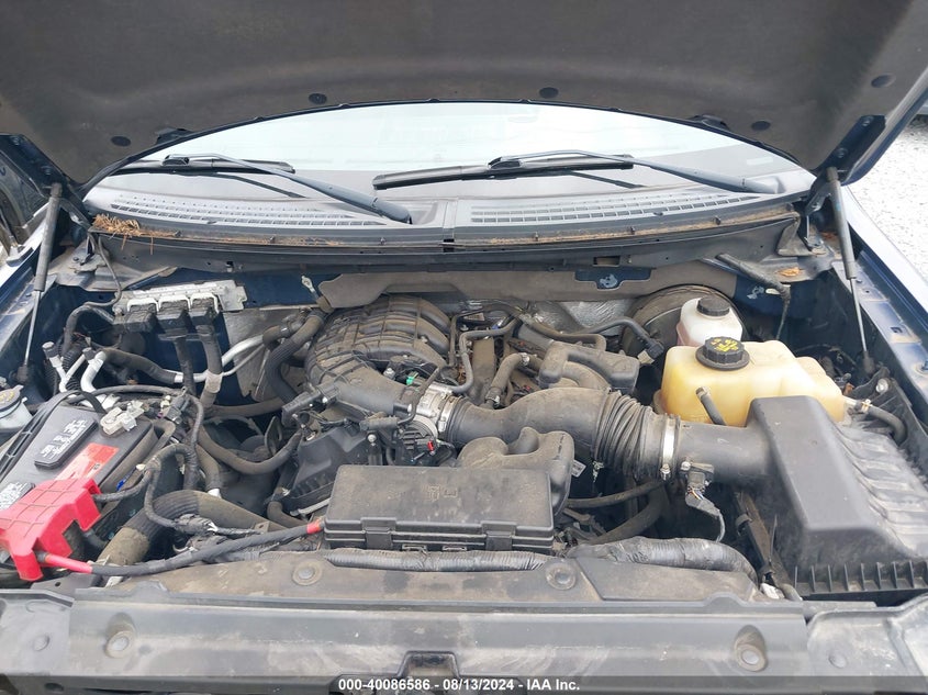 2011 Ford F-150 Xl VIN: 1FTEX1CMXBFB59792 Lot: 40086586