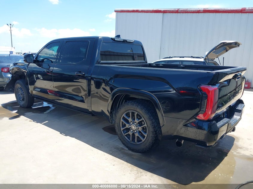 2022 TOYOTA TUNDRA PLATINUM - 5TFNA5EC1NX003250
