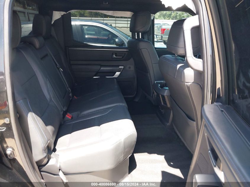 2022 TOYOTA TUNDRA PLATINUM - 5TFNA5EC1NX003250