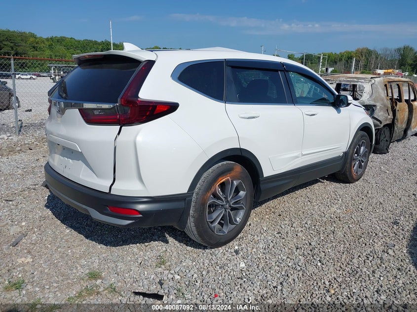 VIN 5J6RW1H56LL001369 2020 HONDA CR-V 2WD EX