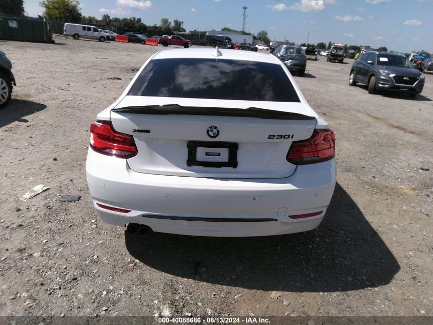 2019 BMW 230I xDrive VIN: WBA2J3C50KVD49146 Lot: 40088686