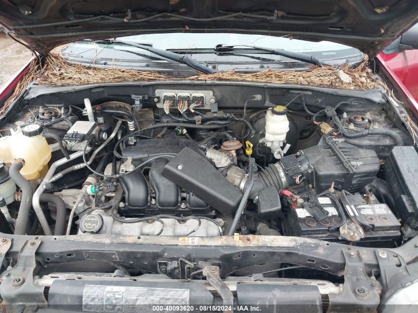 2007 Ford Escape Xlt VIN: 1FMYU93177KA84747 Lot: 40093620