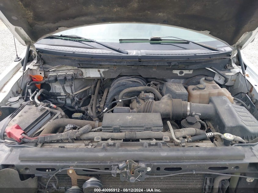 2010 Ford F-150 Fx2 Sport/Stx/Xl/Xlt VIN: 1FTEX1C89AFC98667 Lot: 40095912