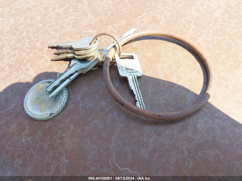 1974 Chevrolet Caprice VIN: 1N47R4J165928 Lot: 40100001