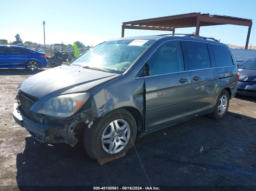 2007 Honda Odyssey Ex-L VIN: 5FNRL38667B430250 Lot: 40100561