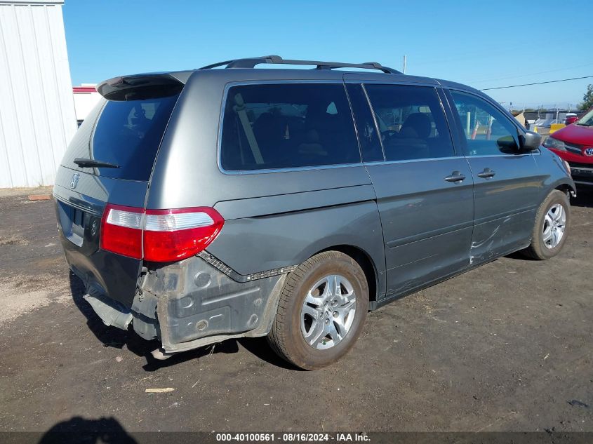 2007 Honda Odyssey Ex-L VIN: 5FNRL38667B430250 Lot: 40100561