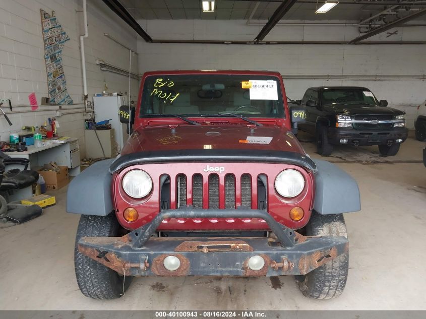 2009 Jeep Wrangler Unlimited X VIN: 1J4GA39169L704833 Lot: 40100943