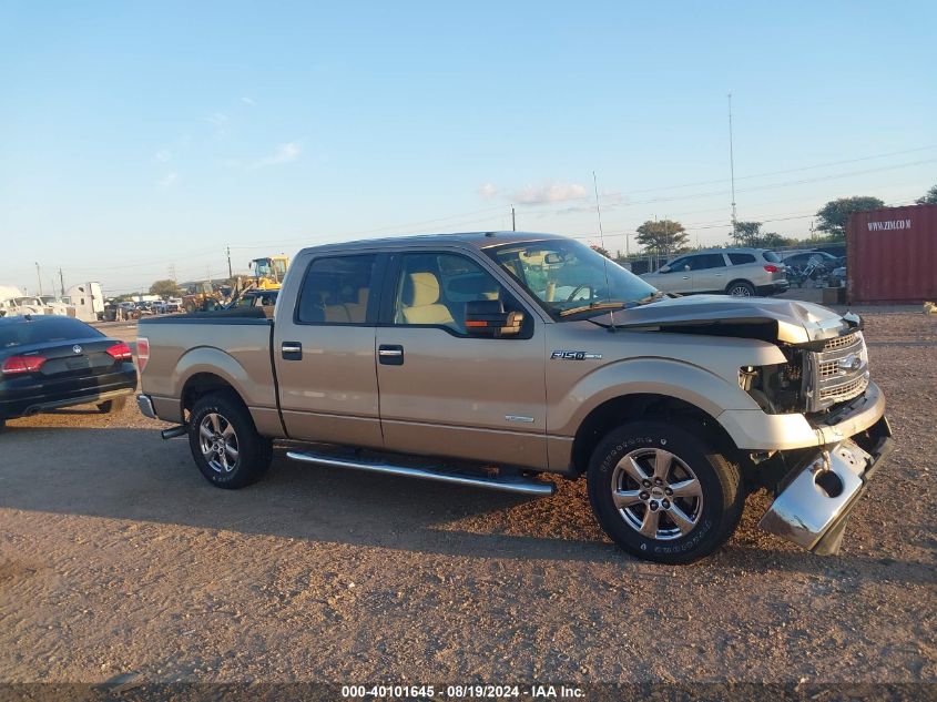 2013 Ford F-150 Xlt VIN: 1FTFW1CTXDFD81590 Lot: 40101645