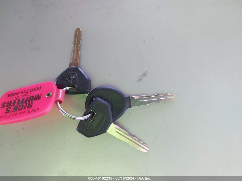 2001 Dodge Ram 1500 VIN: 3B7HC13Y91G723876 Lot: 40102235