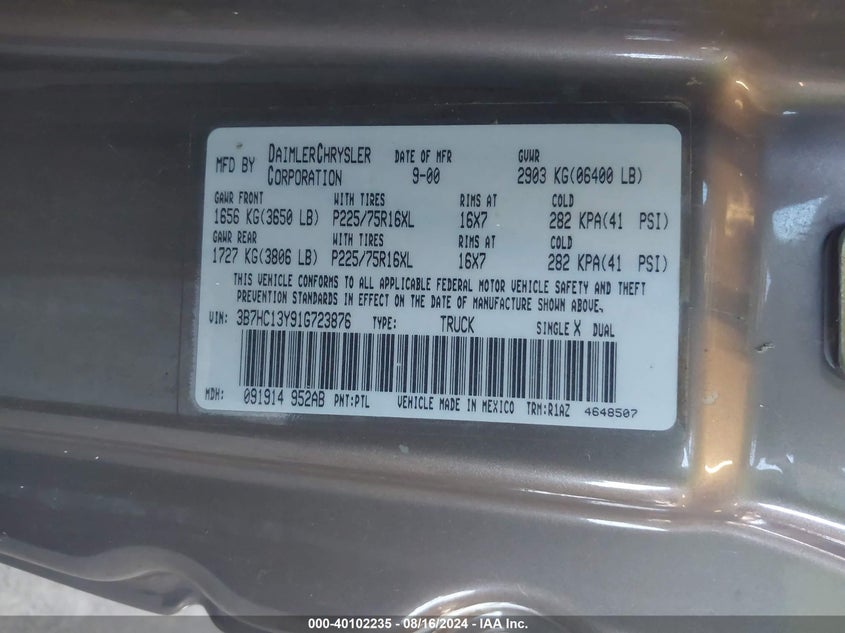 2001 Dodge Ram 1500 VIN: 3B7HC13Y91G723876 Lot: 40102235