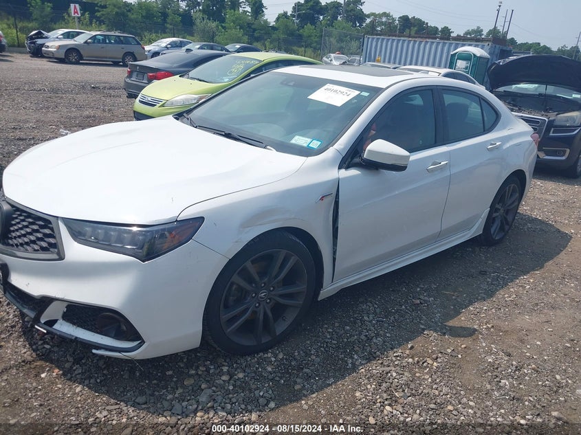 2019 Acura Tlx Tech A-Spec Pkgs VIN: 19UUB2F62KA000907 Lot: 40102924