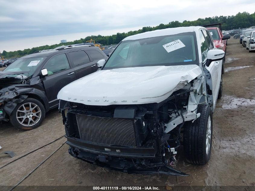 2021 Kia Telluride Lx VIN: 5XYP2DHC9MG183445 Lot: 40111119