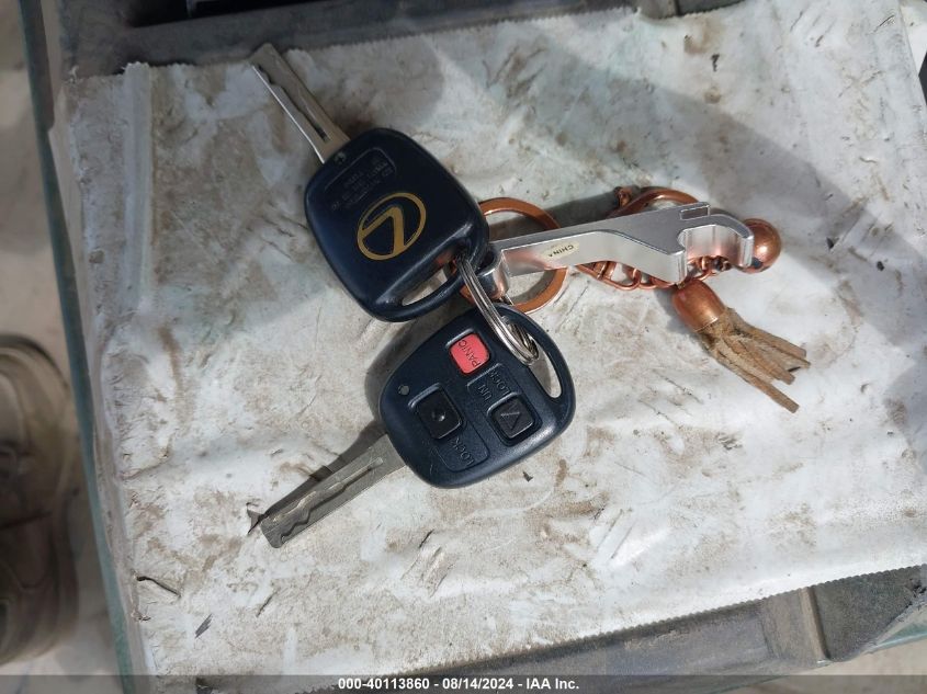 2002 Lexus Rx 300 VIN: JTJHF10U520288091 Lot: 40113860