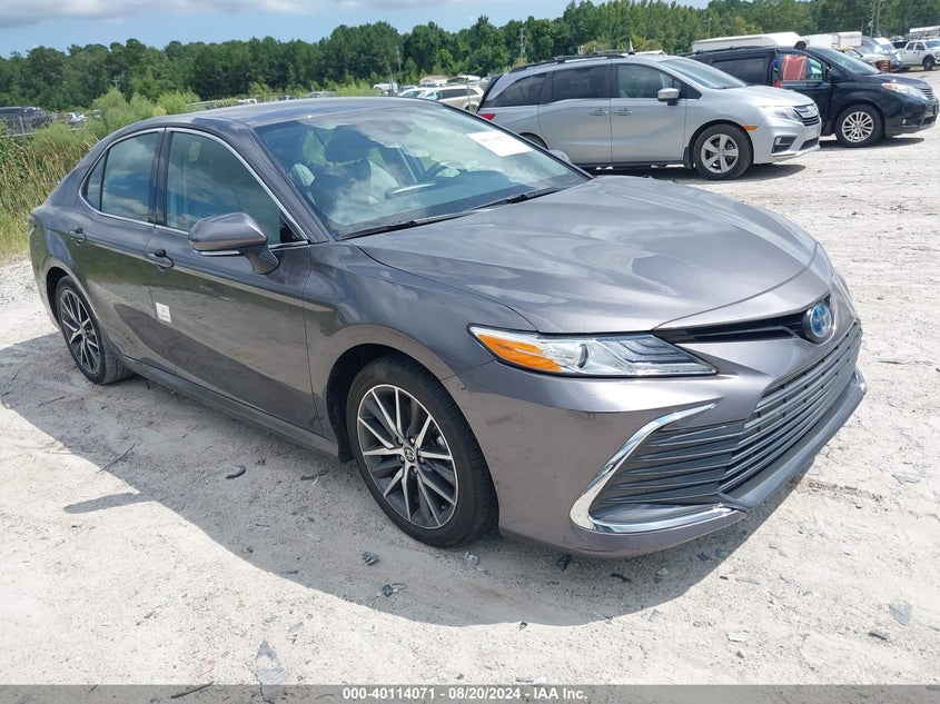 2023 TOYOTA CAMRY  (VIN: 4T1F31AK0PU602905)